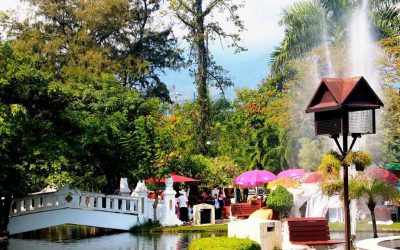 Chiang Mai: Nong Buak Haad – Picknick, Sport und Yoga im Park
