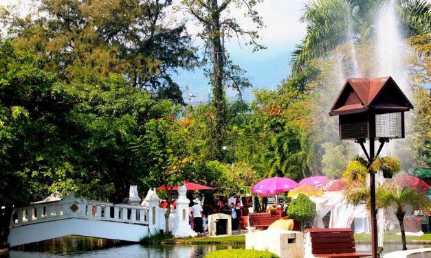 Chiang Mai: Nong Buak Haad – Picknick, Sport und Yoga im Park