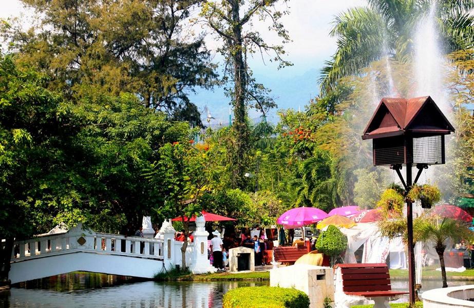 Chiang Mai: Nong Buak Haad – Picknick, Sport und Yoga im Park
