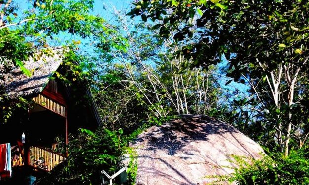 Hotel Koh Phangan: Thongtapan – Resort in üppiger Flora