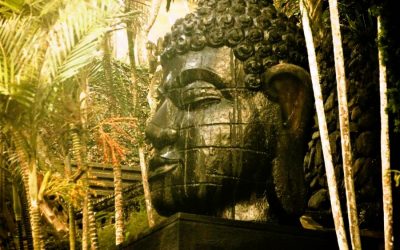 Bali 1: Beliebt, belebt – ein Traum?