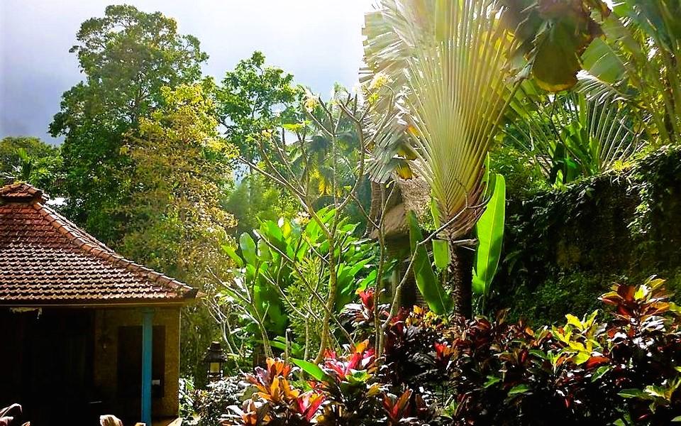 Bali 2 – Ubud: Dschungel in der Stadt