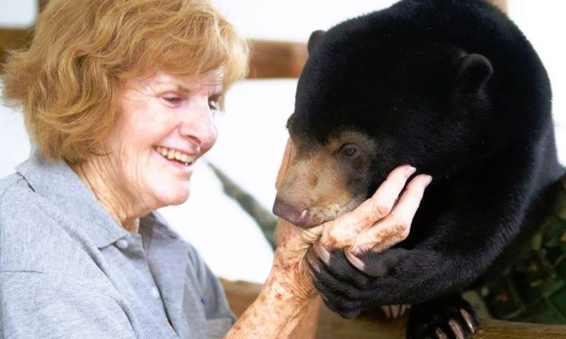 Luang Prabang: Oma rettet die Bären!