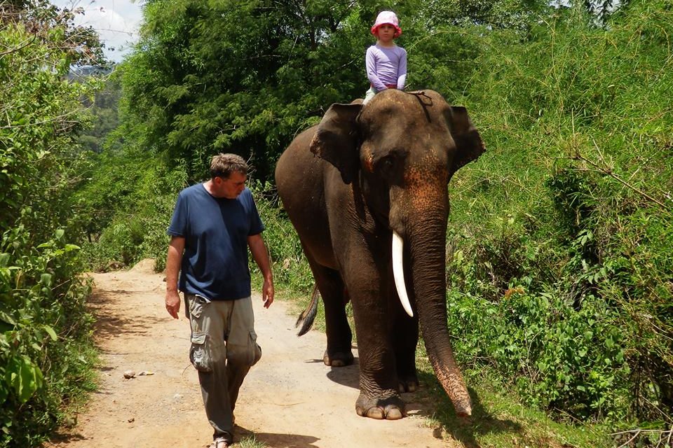 Förster: Elefanten in Camps müssen Geld verdienen