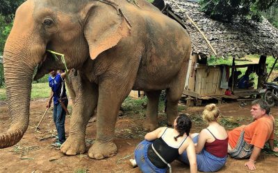 Förster: Ich nehme die Knarre nicht in die Hand