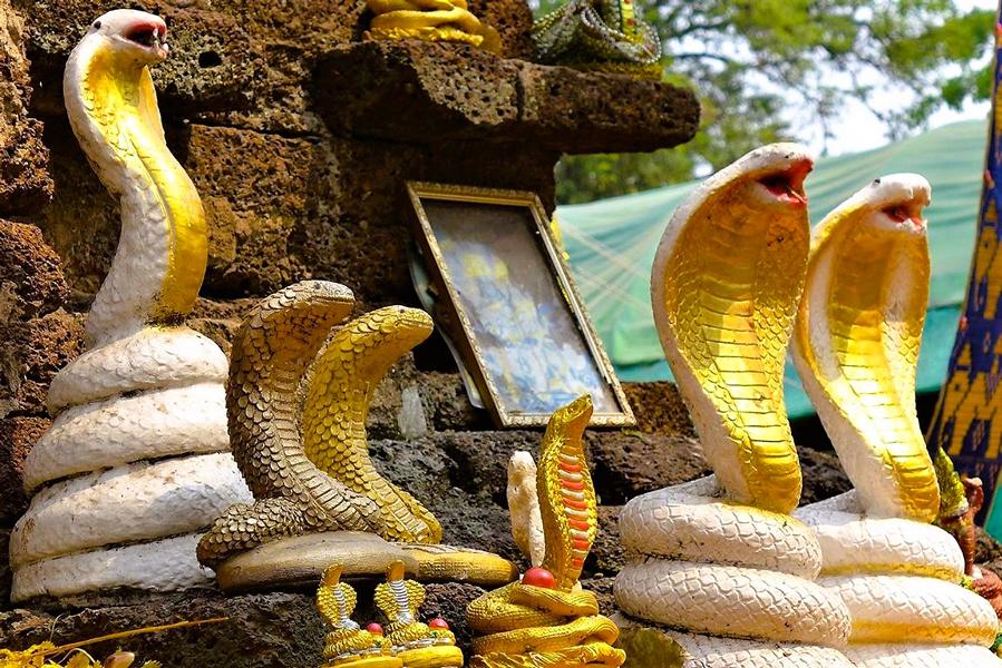 Chiang Mai: Wat Jet Yod – Tempel der Schlangen