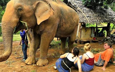 Tagebuch 6. Juli 2022: Die Rückkehr des Riesen