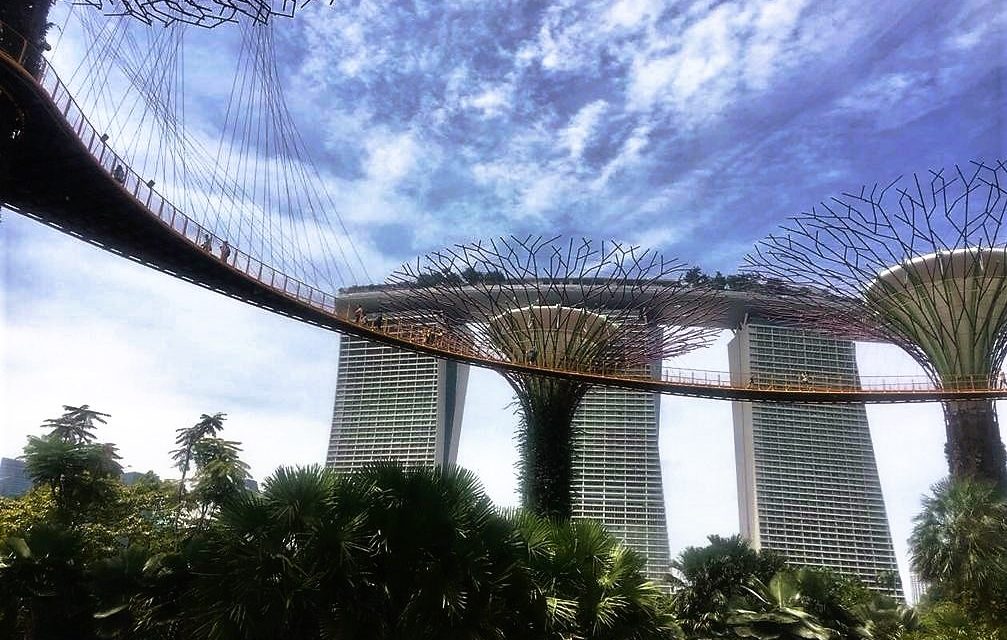 Singapur: Mammutbäume im Supergarten