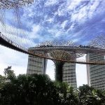 Singapur: Mammutbäume im Supergarten