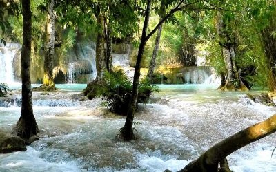 Luang Prabang: Die Kaskaden von Kuang Si