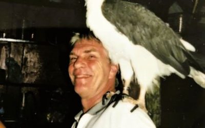 Thai-Tagebuch Koh Samui: Ein Adler in der Nacht