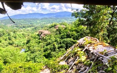 Natur und Luxus: Zwei Top-Hotels nahe Chiang Rai