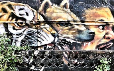 Asien Open Air: Street Art in Chiang Mai
