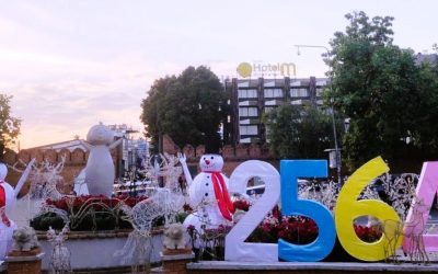 Tagebuch 1. Januar 2021: Taub ins Neue Jahr