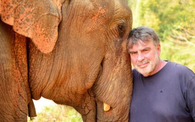 Bodo Förster: Ein Leben für die Elefanten (1)