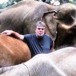 Bodo Förster: So kamen unsere Elefanten durch die Corona-Pandemie