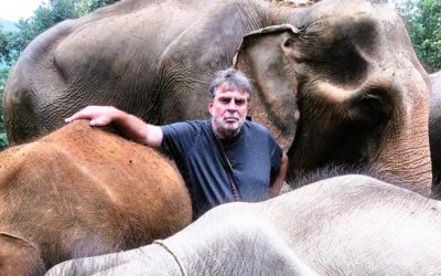 Bodo Förster: So kamen unsere Elefanten durch die Corona-Pandemie