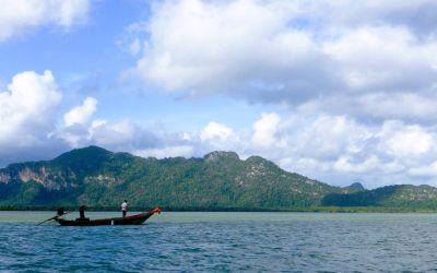 Tagebuch 13. Februar 2022: Ein kleines Monster