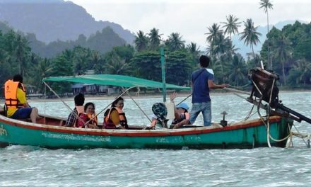 Khanom: Rosa Delfine erahnen im Golf von Thailand
