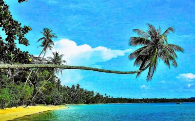 Von Zwickau nach Koh Mak: Endstation Tropen