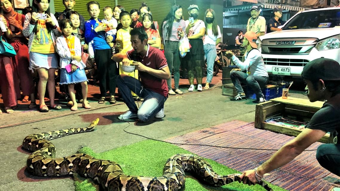 Thai-Tagebuch, 27. Januar 2020: Chinese New Year mit Python und Freunden