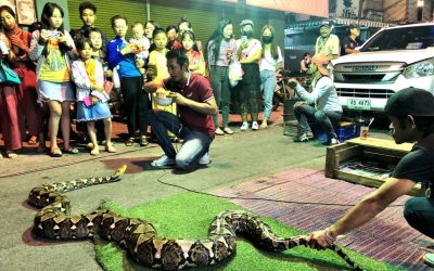 Thai-Tagebuch 27. Januar 2020: Chinese New Year mit Python