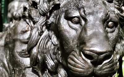 Tagebuch 20. Mai 2022: Raubtiere und Nymphen in Bangkok