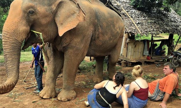 Throwback Thursday: November 2018 – Bodo Försters Geburtstag mit Elefanten in Mae Sapok