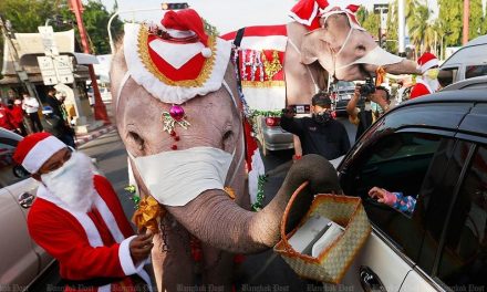 Thai-Tagebuch Weihnachten 2020: Frohes Fest in einem wenig frohen Jahr