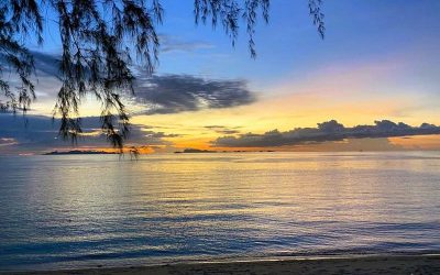 Tagebuch 31. Juli 2022: Nikki Beach Club auf Koh Samui