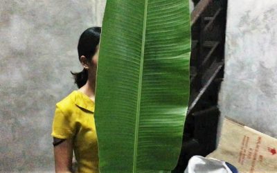 Tagebuch 9. März 2023: Erotik hinterm Bananenblatt