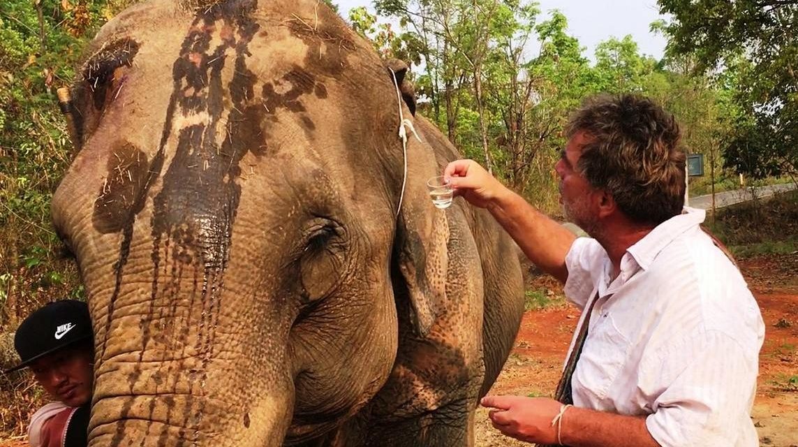 Bodo Förster: Mat Mü – ein Segen für die Elefanten