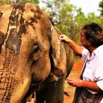 Bodo Förster: Mat Mü – ein Segen für die Elefanten