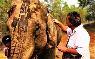 Bodo Förster: Mat Mü – ein Segen für die Elefanten