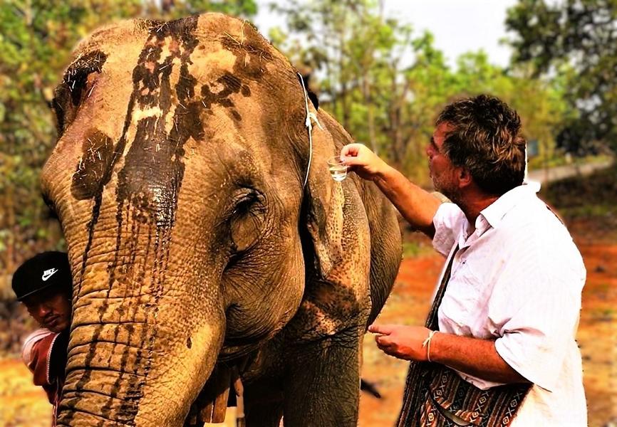 Bodo Förster: Mat Mü – ein Segen für die Elefanten