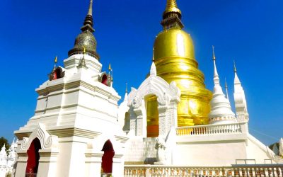 Wat Suan Dok: Buddhas Knochen in der goldenen Stupa