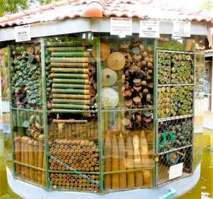 240906_5_Bilder Landminen-Museum