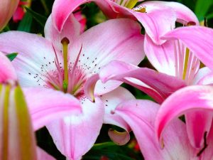 250826_2_Galae Restaurant