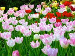 250826_4_Galae Restaurant